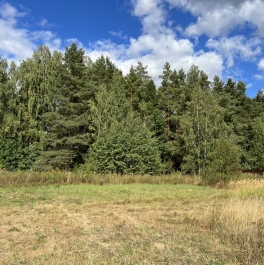 Продажа земли Пушкинский городской округ, Каштановая улица, д. 21 Продажа земли Пушкинский городской округ, Каштановая улица, д. 21