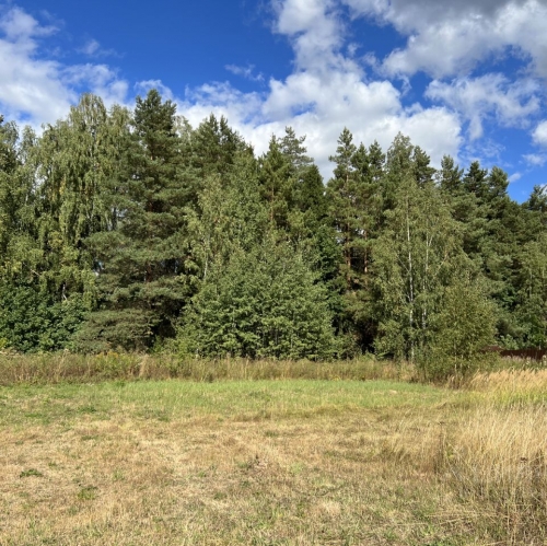 Земельный участок Пушкинский городской округ, Каштановая улица,  д. 21