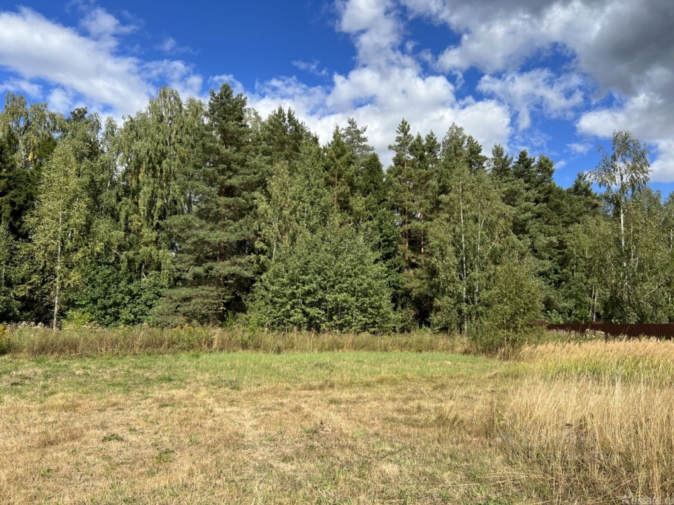 Продажа земли Пушкинский городской округ, Каштановая улица,  д. 21