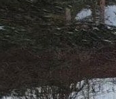 Продать Дачи, коттеджи, загородные дома Восход садоводческий массив, 19-й км СНТ  374 