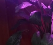 Сдать в аренду Квартиры вторичка улица Металлургов, 26К3   