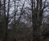 Продать Земельные участки, земля д. Кургино, улица Красницкая   