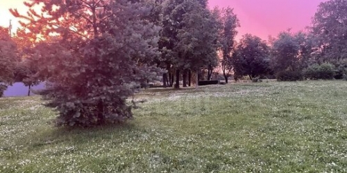 2-комн квартира Муринский 1-й пр-кт,  д. 29/20