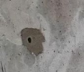 Продать Квартиры вторичка 3-й мкр, Звенигород, 10   