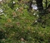 Продать Квартиры вторичка Крюковский тупик, 6   