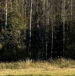 Продажа земли д. Турышкино, улица Новая