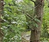 Продать Дачи, коттеджи, загородные дома д. Узигонты, 6Б   