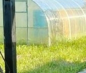 Продать Дачи, коттеджи, загородные дома Новая Ропша садоводческий массив, улица 13-я Западная  31 