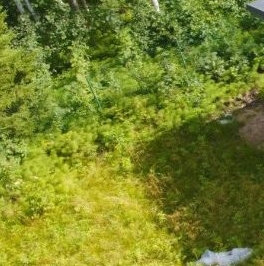 Продажа дома Репино Парк кп, д. 506 Продажа дома Репино Парк кп, д. 506