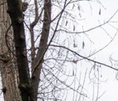 Продать Квартиры вторичка 3-я Фрунзенская улица, 5к1   