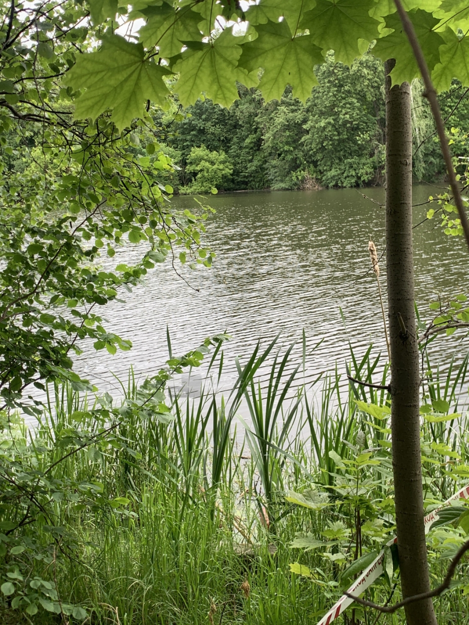 Продажа земли Таболово д.,