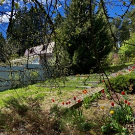 Продажа дома Сарженка сад-во