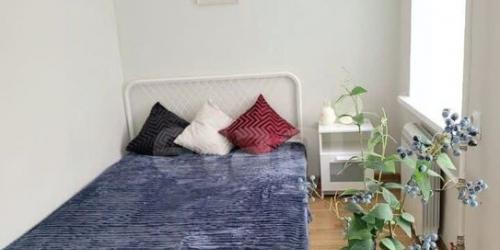 1-комн квартира Плуталова улица,  д. 13