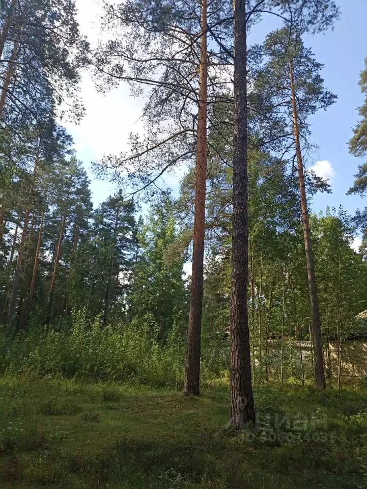 Продажа земли Всеволожск, проспект Козлова