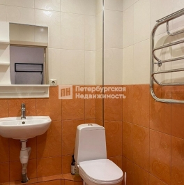 Аренда 1-комн квартиры на вторичном рынке пр-кт Обуховской Обороны, д 195