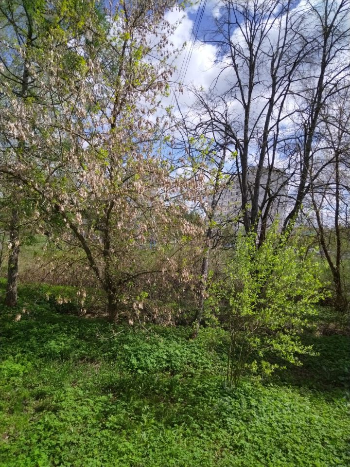 Продажа 1-комн квартиры на вторичном рынке Кубинка, улица Генерала Вотинцева, 1