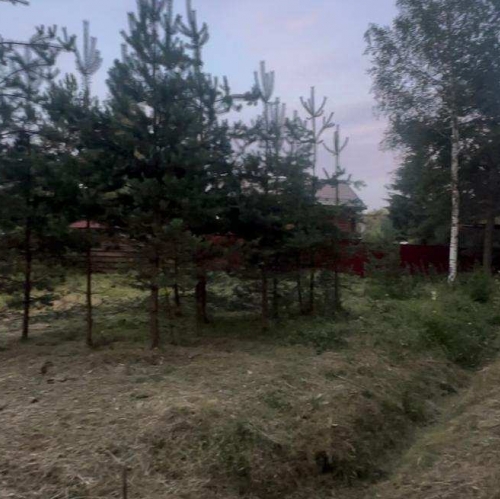 Коттедж/дом Медведь снт