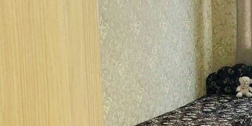 1-комн квартира Пушкин, Гусарская улица, 4к3