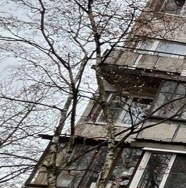 Аренда 3-комн квартиры на вторичном рынке Наличная улица, 36К3 Аренда 3-комн квартиры на вторичном рынке Наличная улица, 36К3