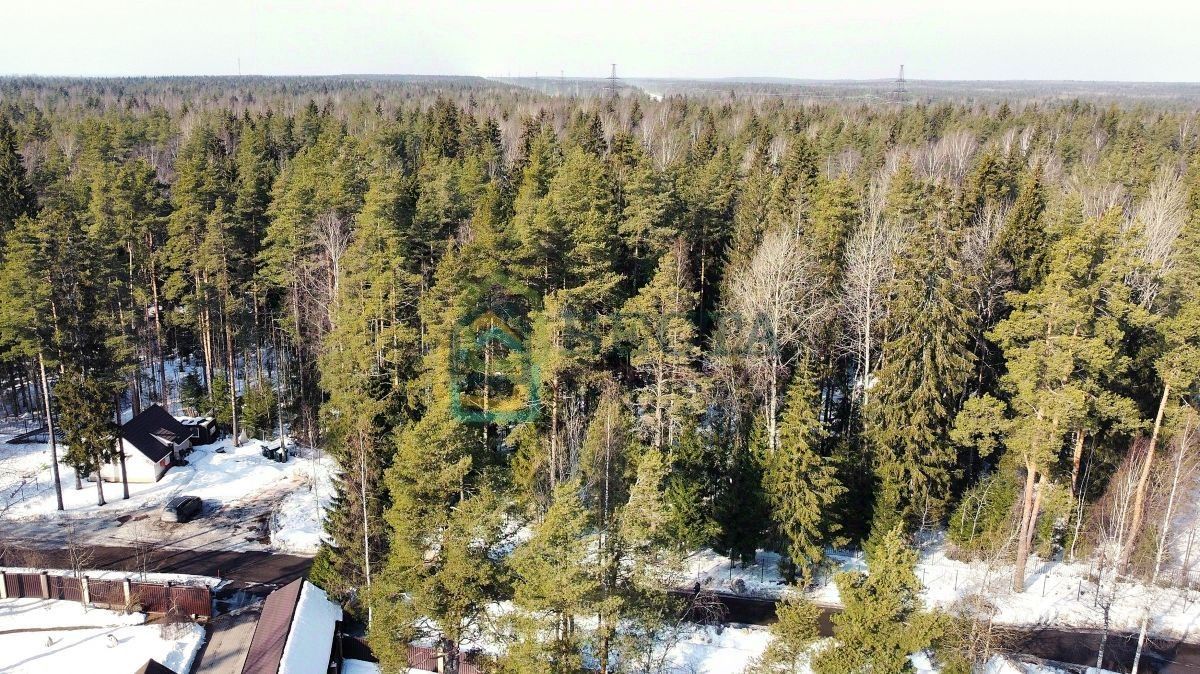 Продажа земли Лесной Парк кп, улица Лесная
