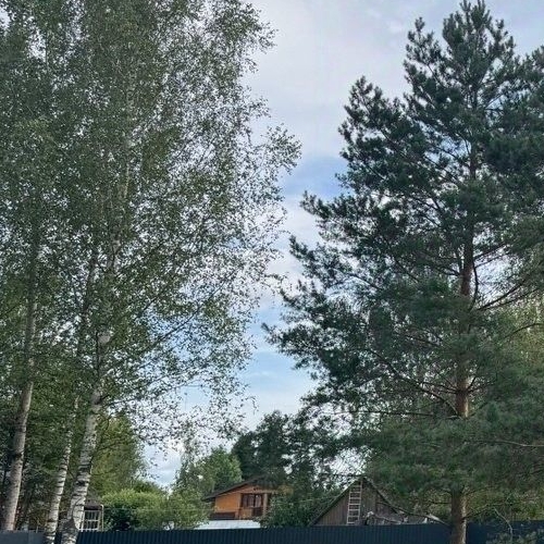 Коттедж/дом Вырица городской поселок, улица Фрунзе