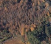 Продать Земельные участки, земля Гармония СНТ  175 