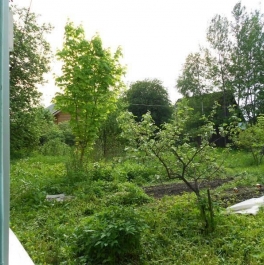 Продажа дома микрорайон Новая Деревня Центральная улица,  д. 89,  к. а