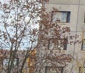 Продать Квартиры вторичка Светогорск, Красноармейская улица, 8   