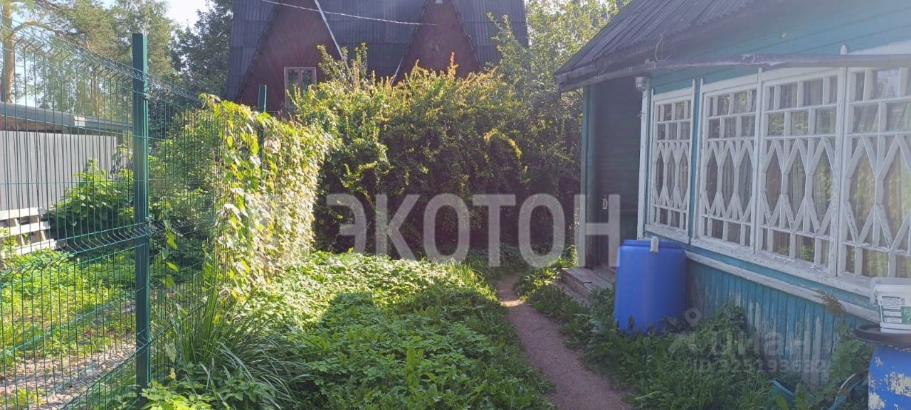 Продажа дома Дружное-3 СНТ, улица Дальняя