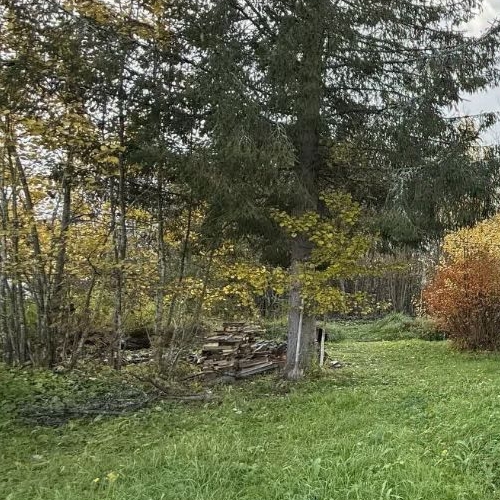 Коттедж/дом Посадников остров садоводческий массив, Сигнал СНТ, улица Соловьиная