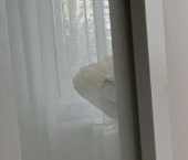 Продать Квартиры вторичка улица Летчика Грицевца, 4   