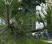 Продать Квартиры вторичка Колпино, Понтонная улица, 13к1   