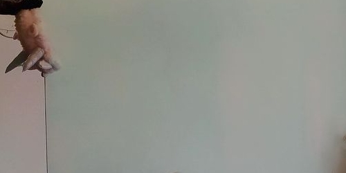 2-комн квартира улица Лени Голикова, 14