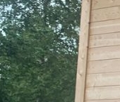 Продать Дачи, коттеджи, загородные дома пос. Парголово, Гидролизпром СНТ, аллея 1-я   