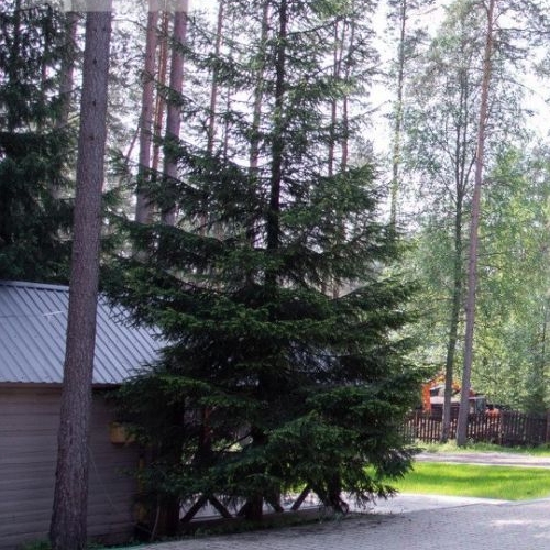 Коттедж/дом Зеленогорск, переулок Героев, 6