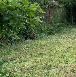 Продажа земли Сестрорецк, улица Старая, 7