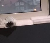 Сдать в аренду Квартиры вторичка Балашиха, улица Демин луг, 4   