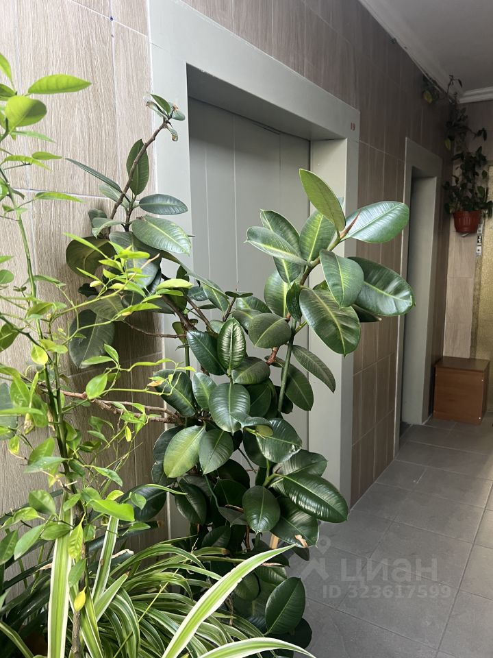 Продажа 2-комн квартиры на вторичном рынке улица Москворечье, 31к1