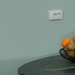 Аренда студии пос. Парголово, проезд Толубеевский,  д. 8к2