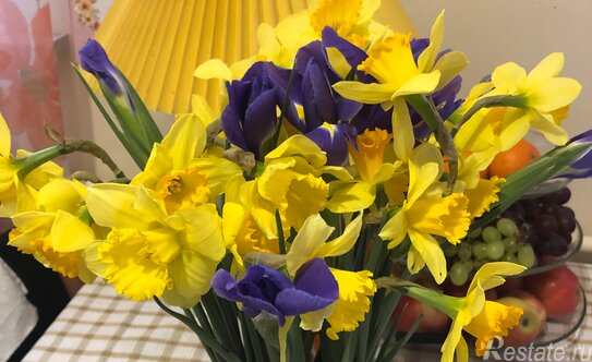 Продажа 4-комн квартиры на вторичном рынке Быково, ул Чапаева,  д. 3