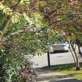 Продажа 1-комн квартиры на вторичном рынке Мечта кп, с. Озерецкое, бульвар Мечта, 10 Продажа 1-комн квартиры на вторичном рынке Мечта кп, с. Озерецкое, бульвар Мечта, 10