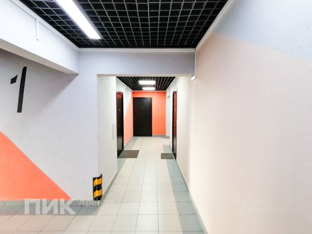 Аренда студии д. Глухово, улица Романовская, 19