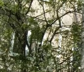 Продать Квартиры вторичка проспект Металлистов, 92   