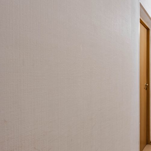 1-комн квартира Кондратьевский проспект, 64к8