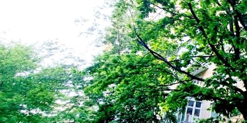 2-комн квартира Лесная улица, 10-16