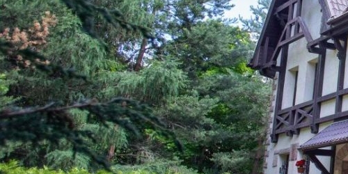 Коттедж/дом Парголовский переулок, 20