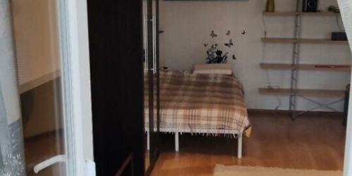 1-комн квартира Владимирская 2-я ул,  д. 21/9