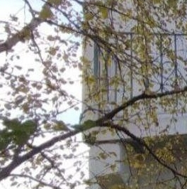 Продажа дома д. Яльгелево, улица Садовая, 12