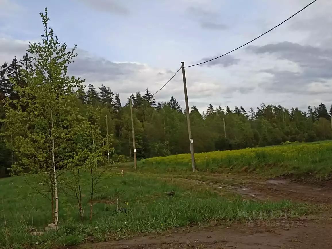 Продажа земли д. Васильево, улица Лыжная