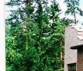 Продать Дачи, коттеджи, загородные дома Всеволожск, Торговый проспект   